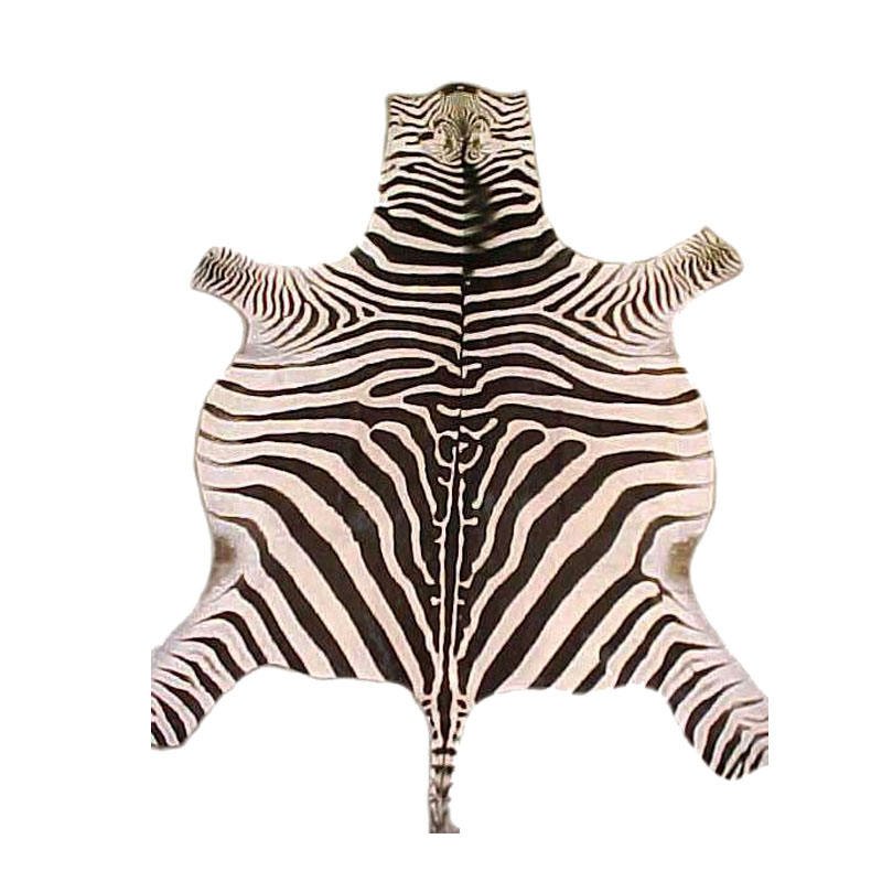 High Quality Burchell Zebra Skin Rug Zebra Leather for Sale